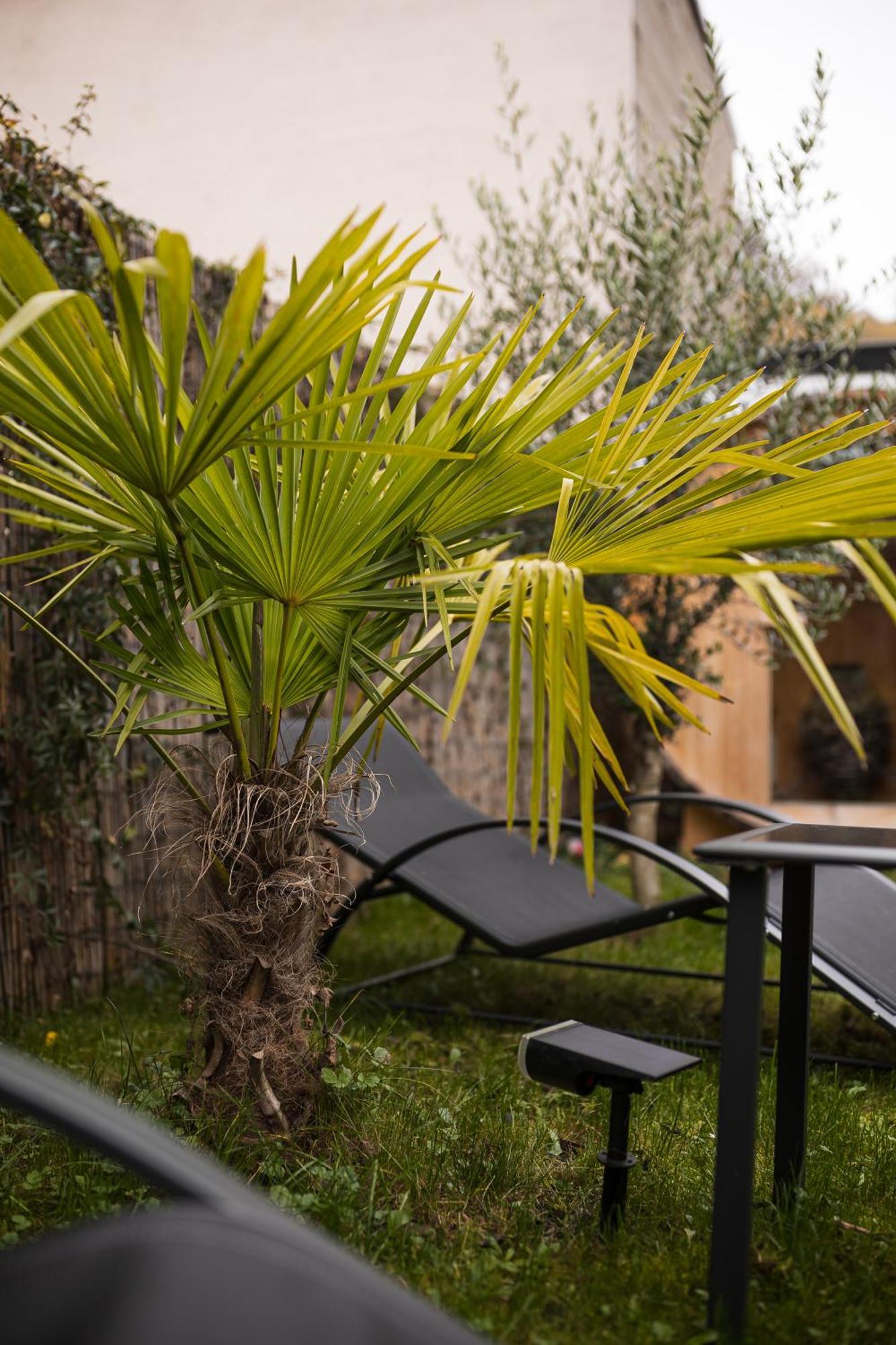 Modernhouse Ko26 Apartamento Coblença Exterior foto